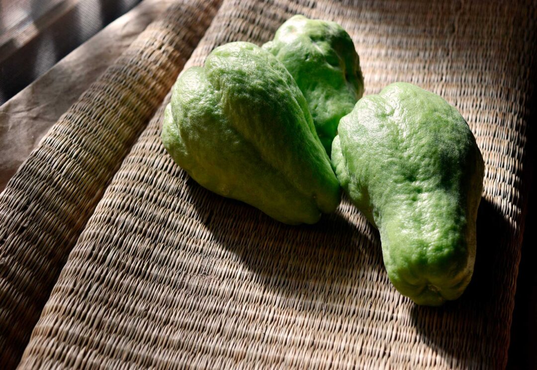 chayote
